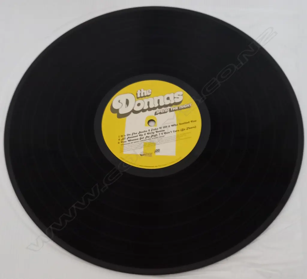 The Donnas, Spend The Night Image 1++